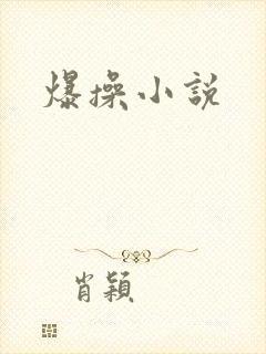 爆操小说