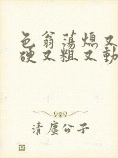 色翁荡熄又大又硬又粗又动态图