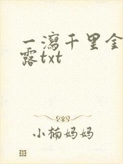 一泻千里金银花露txt