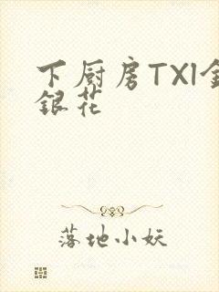 下厨房TXl金银花封面