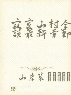 寂寞山村全部小说最新章节