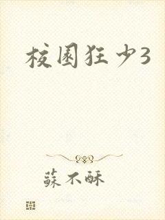 校园狂少3
