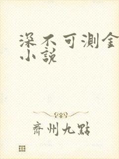 深不可测金银花小说