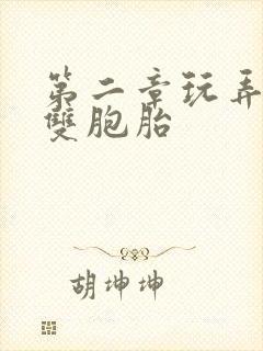 第二章玩弄少妇双胞胎