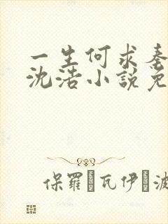 一生何求秦菲雪沈浩小说免费阅读全文