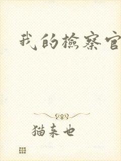 我的检察官先生