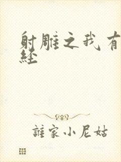 射雕之我有太玄经