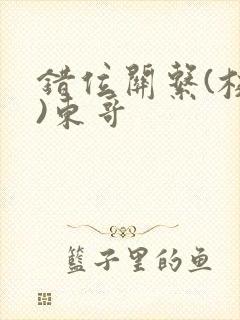 错位关系(校园)东哥