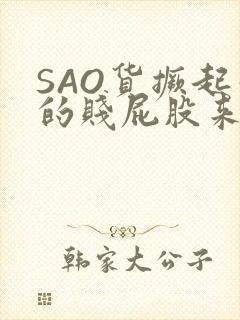 SAO货撅起你的贱屁股来