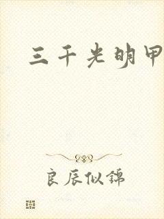 三千光明甲