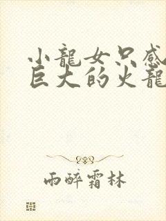 小龙女只感觉那巨大的火龙枪