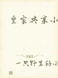 皇家共享小公主