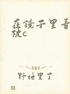 在镜子里看自己被c