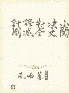 针锋对决小说未删减全文阅读