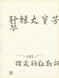 轩辕大宝芳菲雅琴