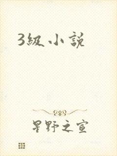 3级小说