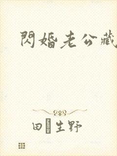 闪婚老公藏不住