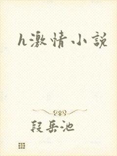 h激情小说