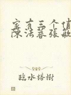 家有三个俏媳妇陈法蓉张敏