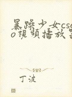 暴躁少女csgo视频播放器推荐