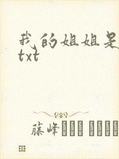 我的姐姐是美女txt