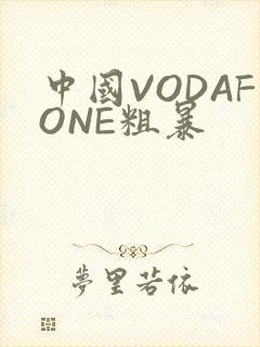 中国VODAFONE粗暴封面