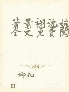 萧景翊沈婉小说全文免费阅读