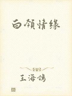 白领情缘