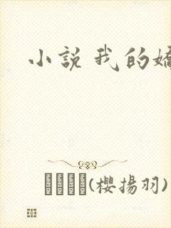 小说 我的娇妻