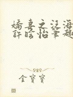 娇妻之泛海之舟许晗怡笔趣阁