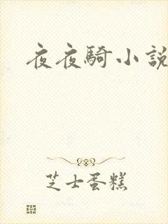 夜夜骑小说