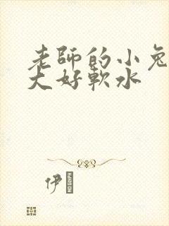 老师的小兔子好大好软水
