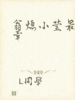 翁熄小莹最新节章