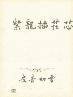 紫龙插花芯方正