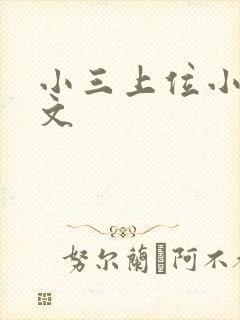 小三上位小说全文