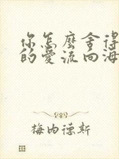 你怎么舍得让我的爱流向海封面