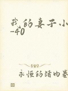 我的妻子小谨1-40