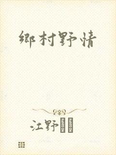 《乡村野情》小说封面