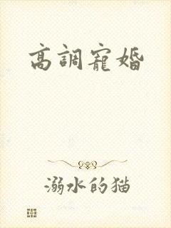 高调宠婚