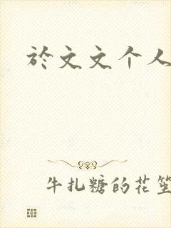 于文文个人简历