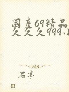 国产69精品久久久久999小说