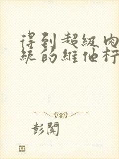 得到超级肉禽系统的维他柠檬茶