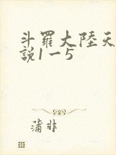 斗罗大陆天狂传说1一5