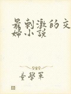 最刺激的交换夫妇小说