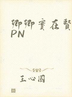 卿卿实在贤良NPN