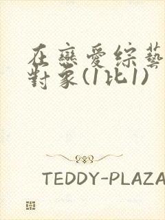 在恋爱综艺里搞对象(1比1)