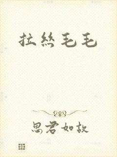 拉丝毛毛封面