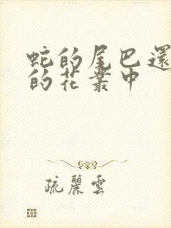 蛇的尾巴还在我的花丛中