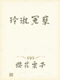 《玲珑冤孽》小说封面