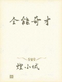 《全能奇才》小说封面